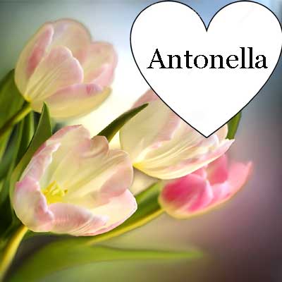 ricordo di Antonella