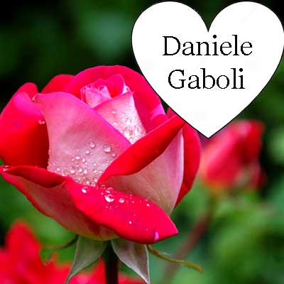 ricordo di Daniele Gaboli